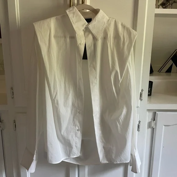 Lionne shirt Dress - Picture 2 of 4